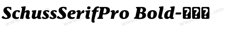 SchussSerifPro Bold字体转换